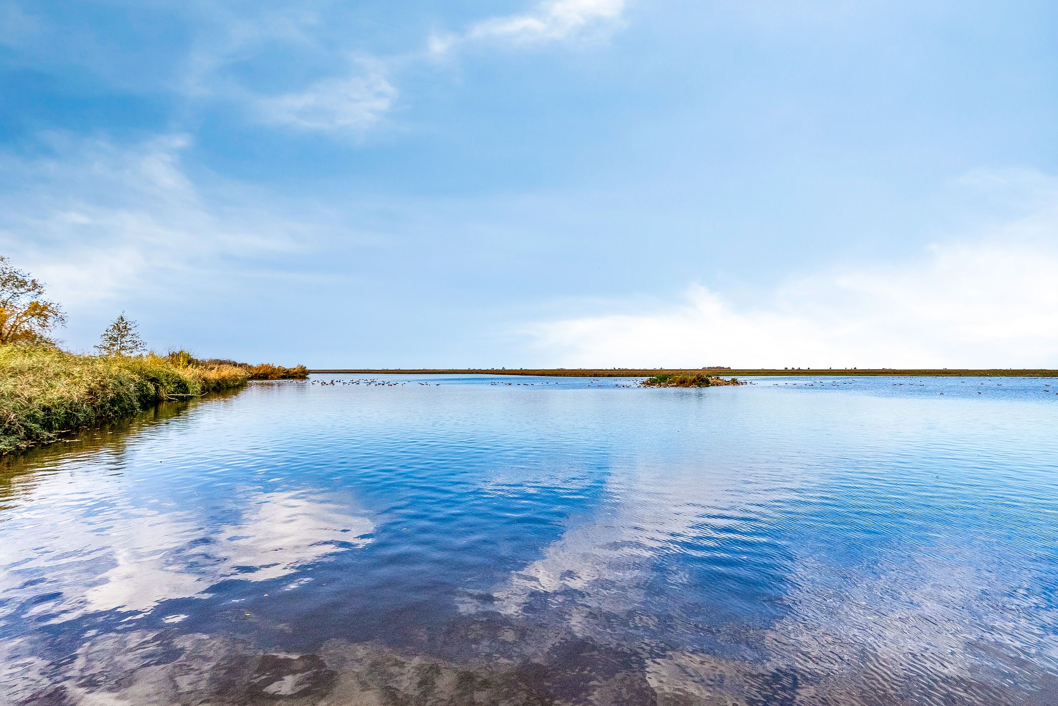 Foto 36 van Tempo Doeloestraat 240