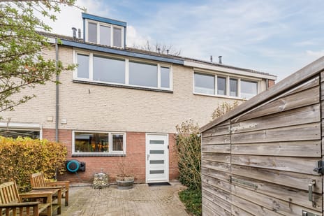 undefined main image