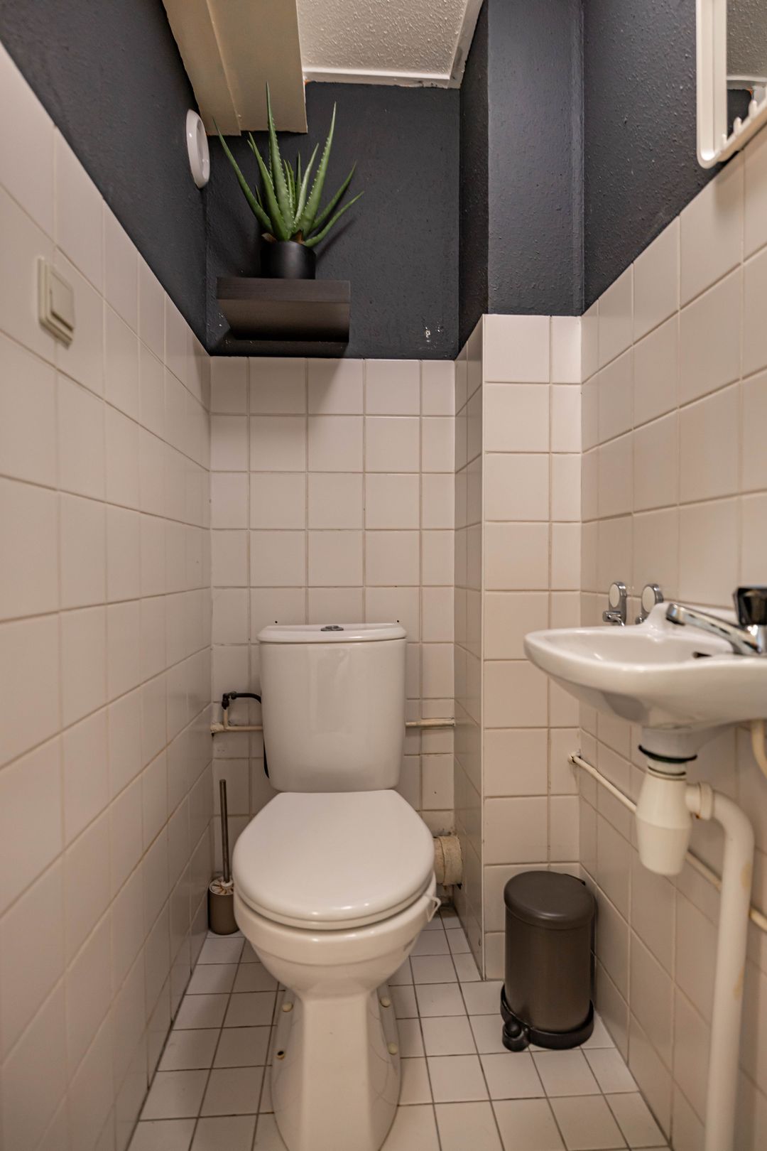 Foto 7 van Petrus Campersingel 31-51