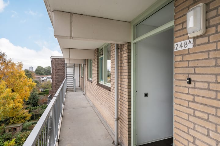 Photo 6 of Schiedamseweg 248-A