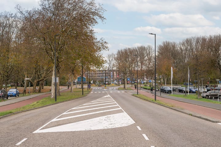 Photo 23 of Schiedamseweg 248-A