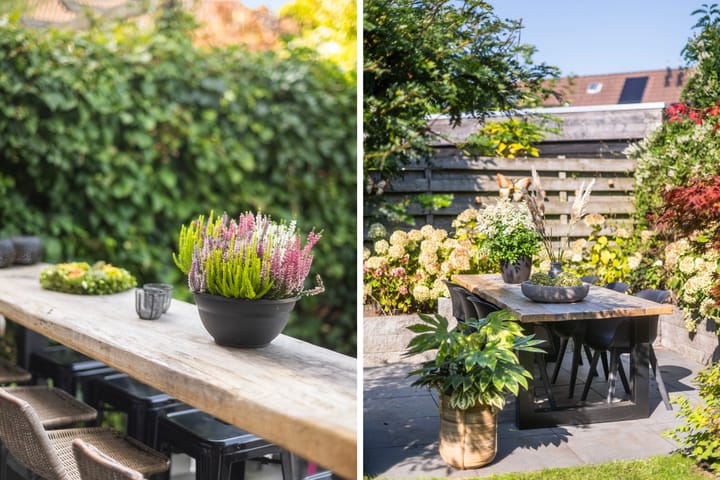 Foto 42 van Engberserf 32