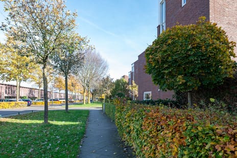 Zonnewende 218 secondary image