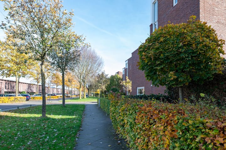 Photo 2 of Zonnewende 218