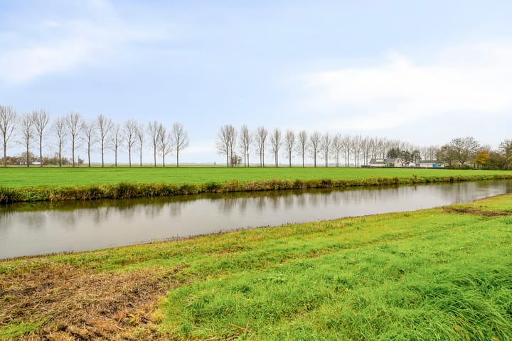 Photo 24 of Valreep 50