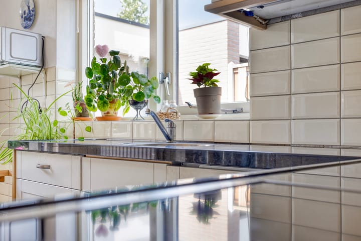 Photo 12 of Meent 29