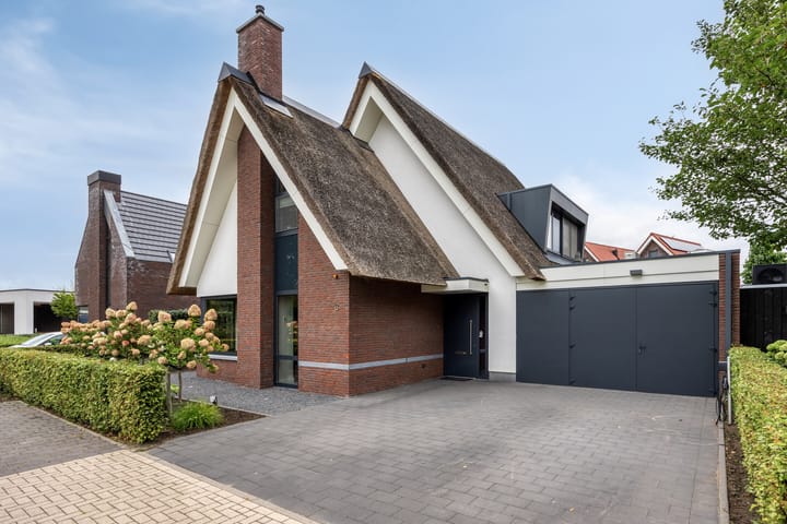 Foto 6 van Koolmees 6