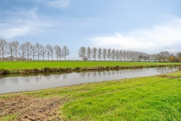 Photo 26 of Valreep 74