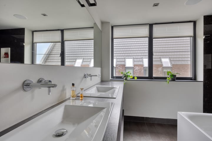 Foto 47 van Koolmees 6