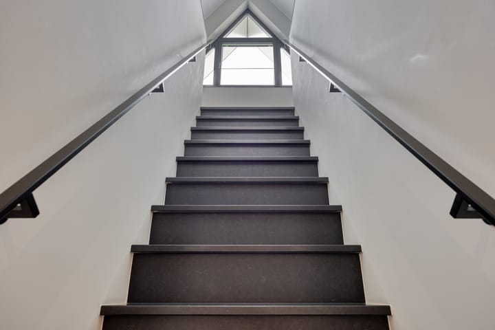 Foto 53 van Koolmees 6