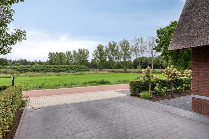 Foto 72 van Koolmees 6