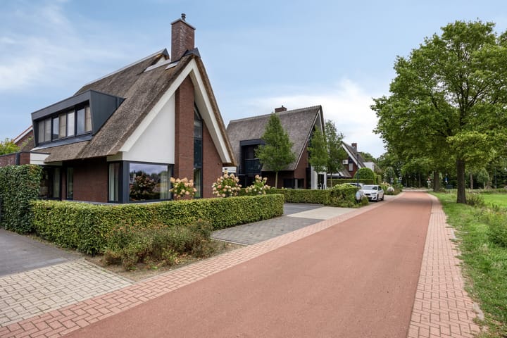 Foto 73 van Koolmees 6