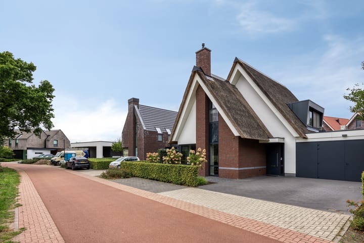 Foto 74 van Koolmees 6