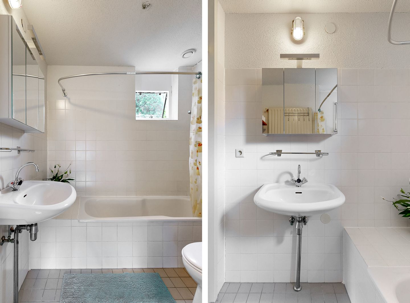 Foto 10 van Kuifmees 23