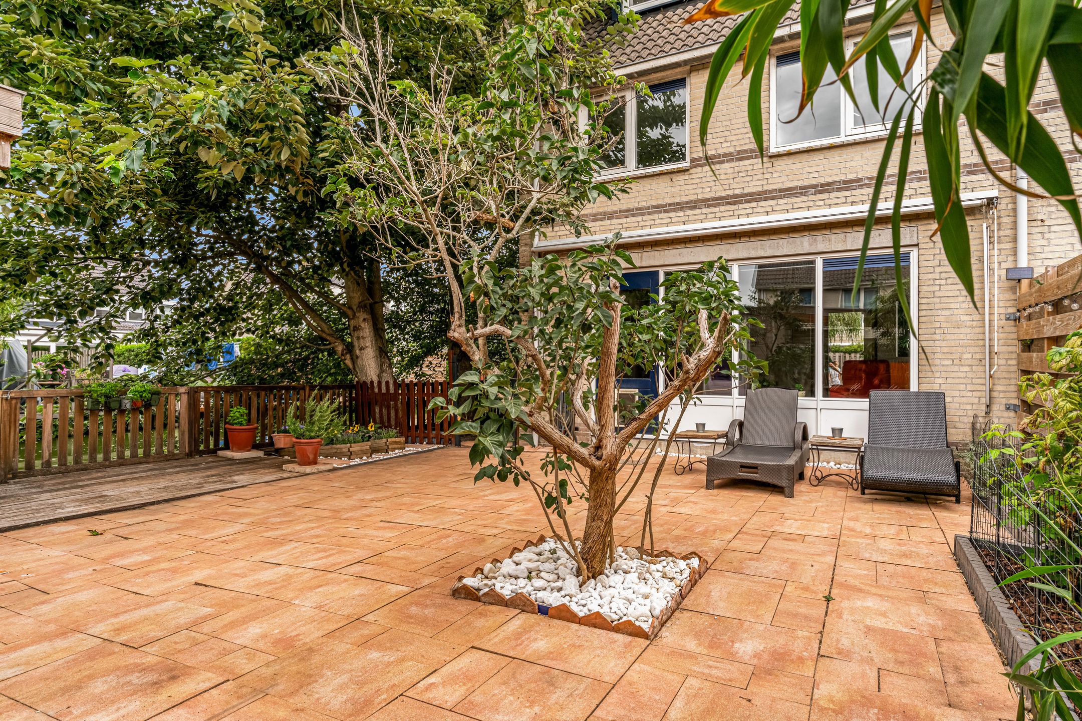 Foto 24 van Kuifmees 23