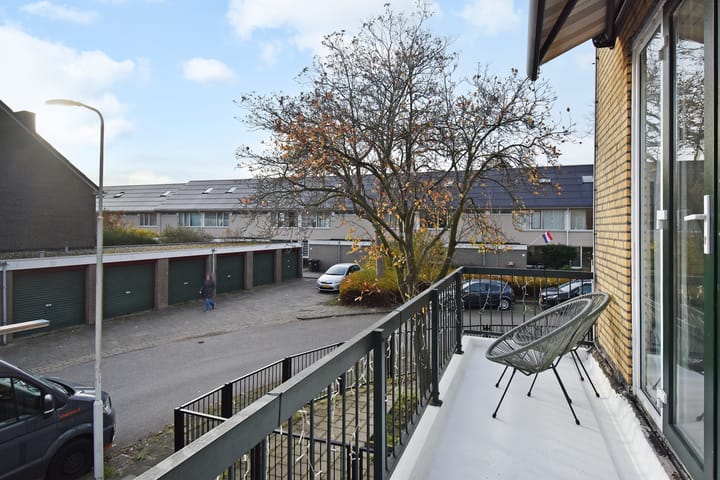 Photo 24 of Fivelingo 42