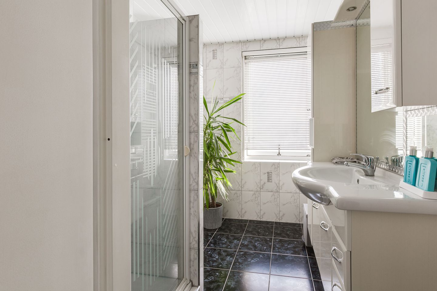 Foto 25 van Valeriaan 3