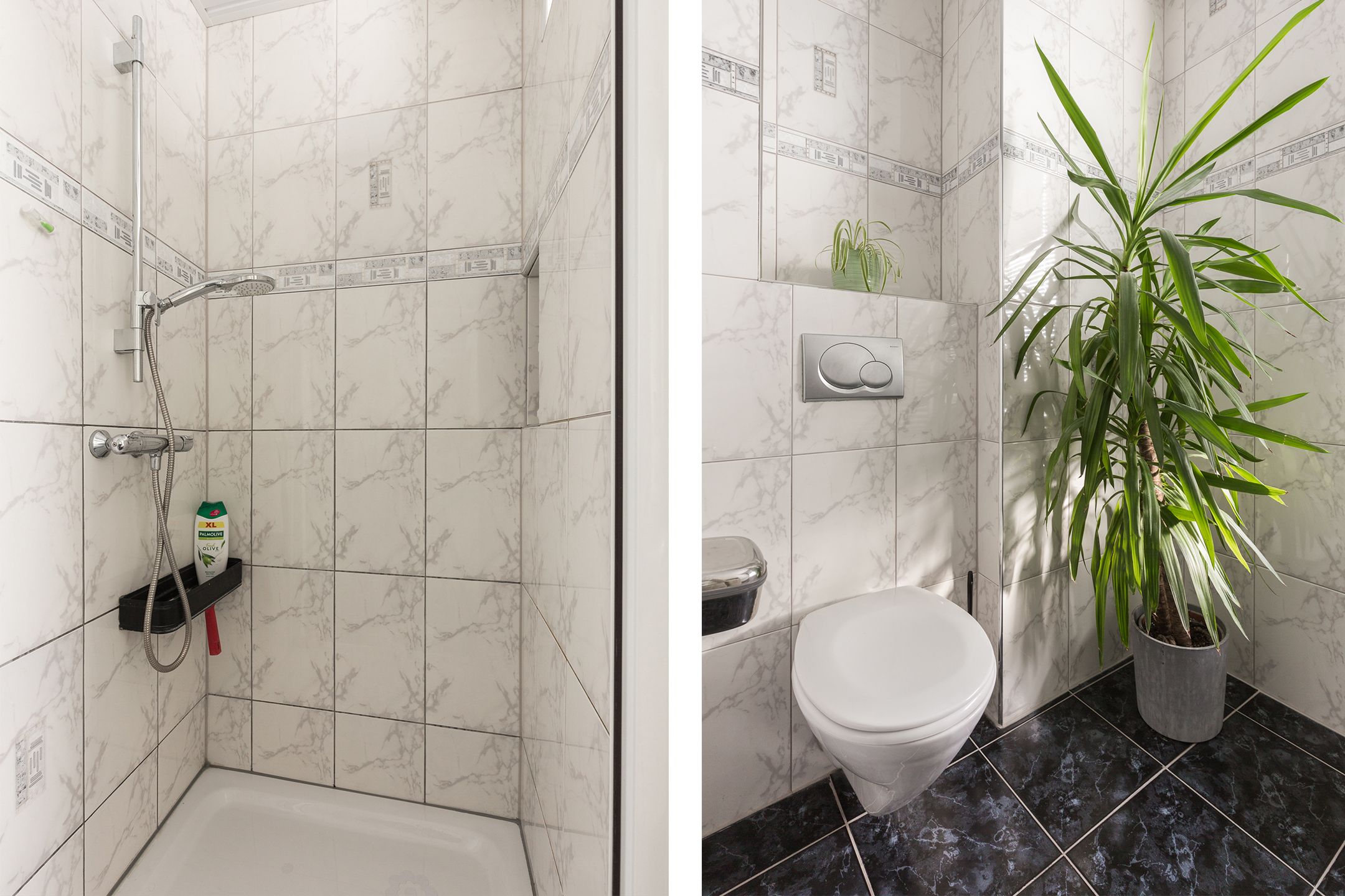 Foto 27 van Valeriaan 3