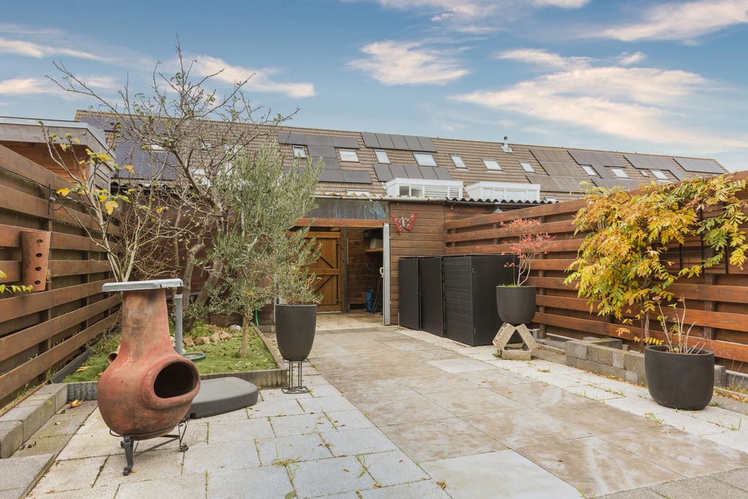 Foto 31 van Valeriaan 3