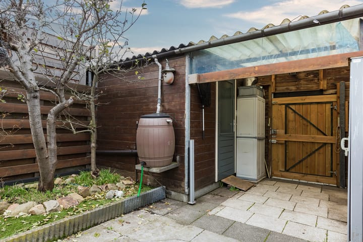 Photo 32 of Valeriaan 3