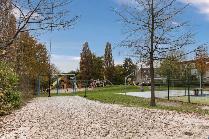 Photo 35 of Valeriaan 3