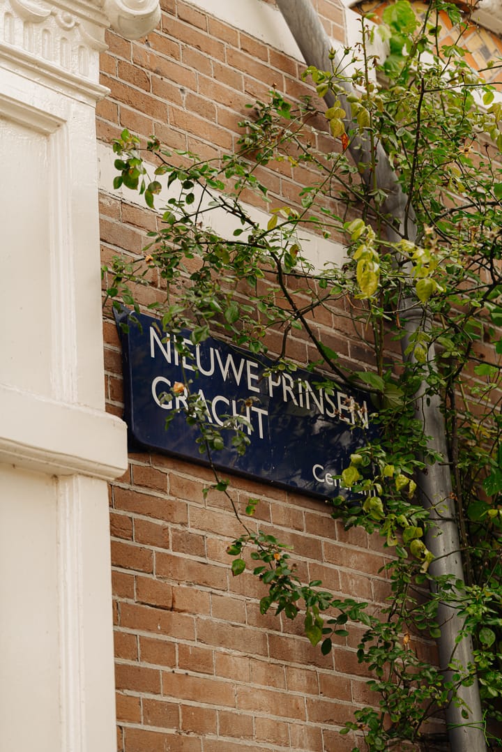 Photo 40 of Nieuwe Prinsengracht 102-3