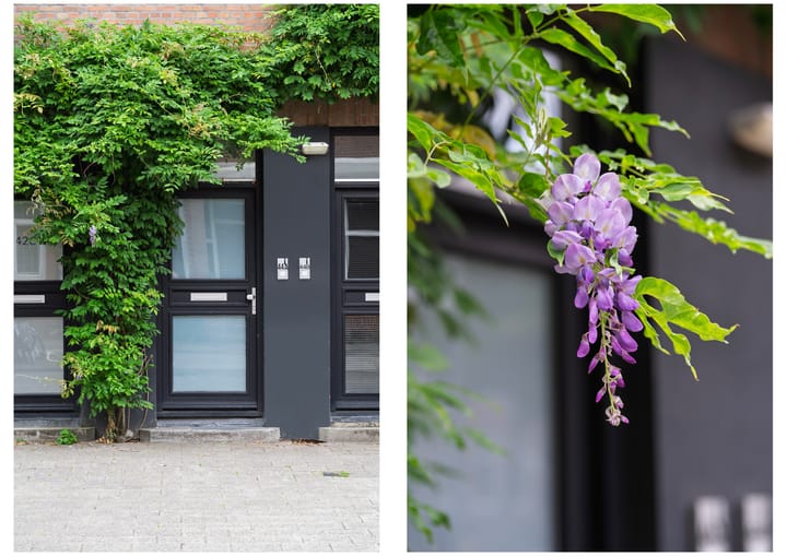 Foto 4 van Nieuwe Crooswijkseweg 44-A