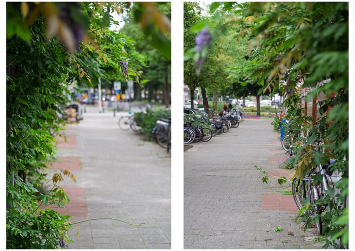 Foto 6 van Nieuwe Crooswijkseweg 44-A