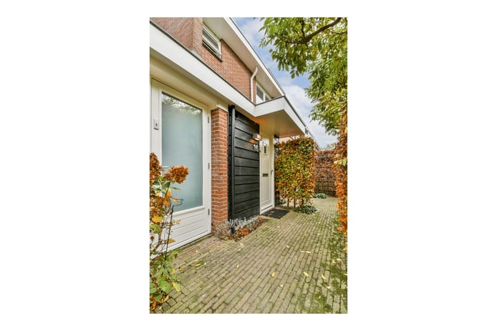 Photo 3 of Petersburg 16