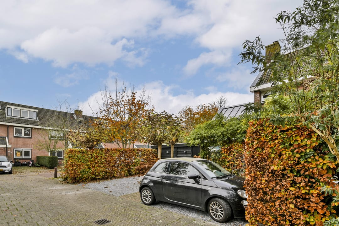 Foto 32 van Petersburg 16