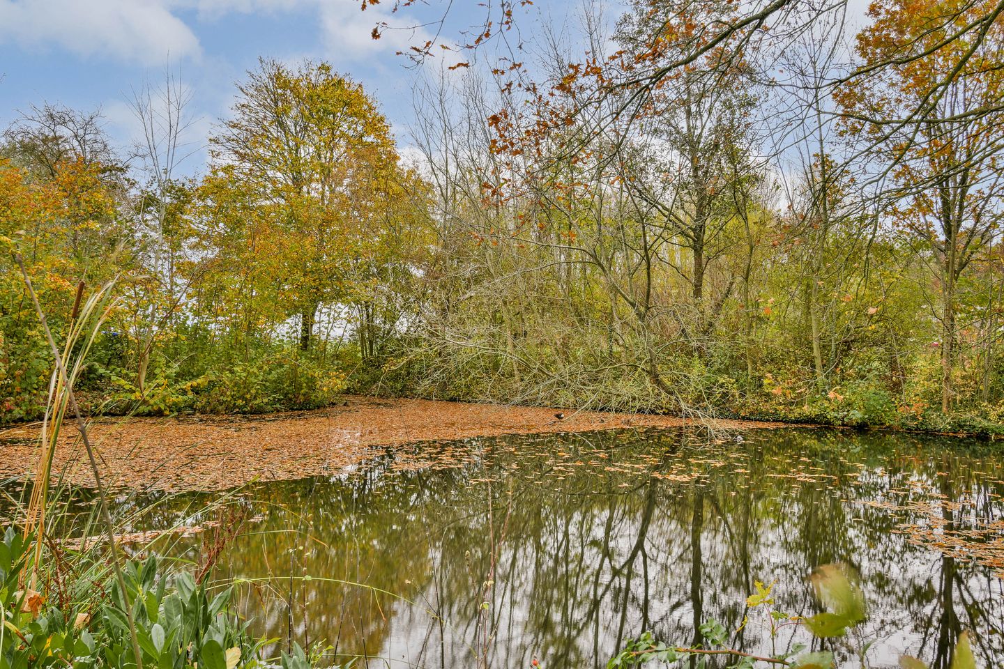 Foto 34 van Petersburg 16