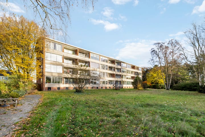 Foto 18 van Amaliagaarde 24