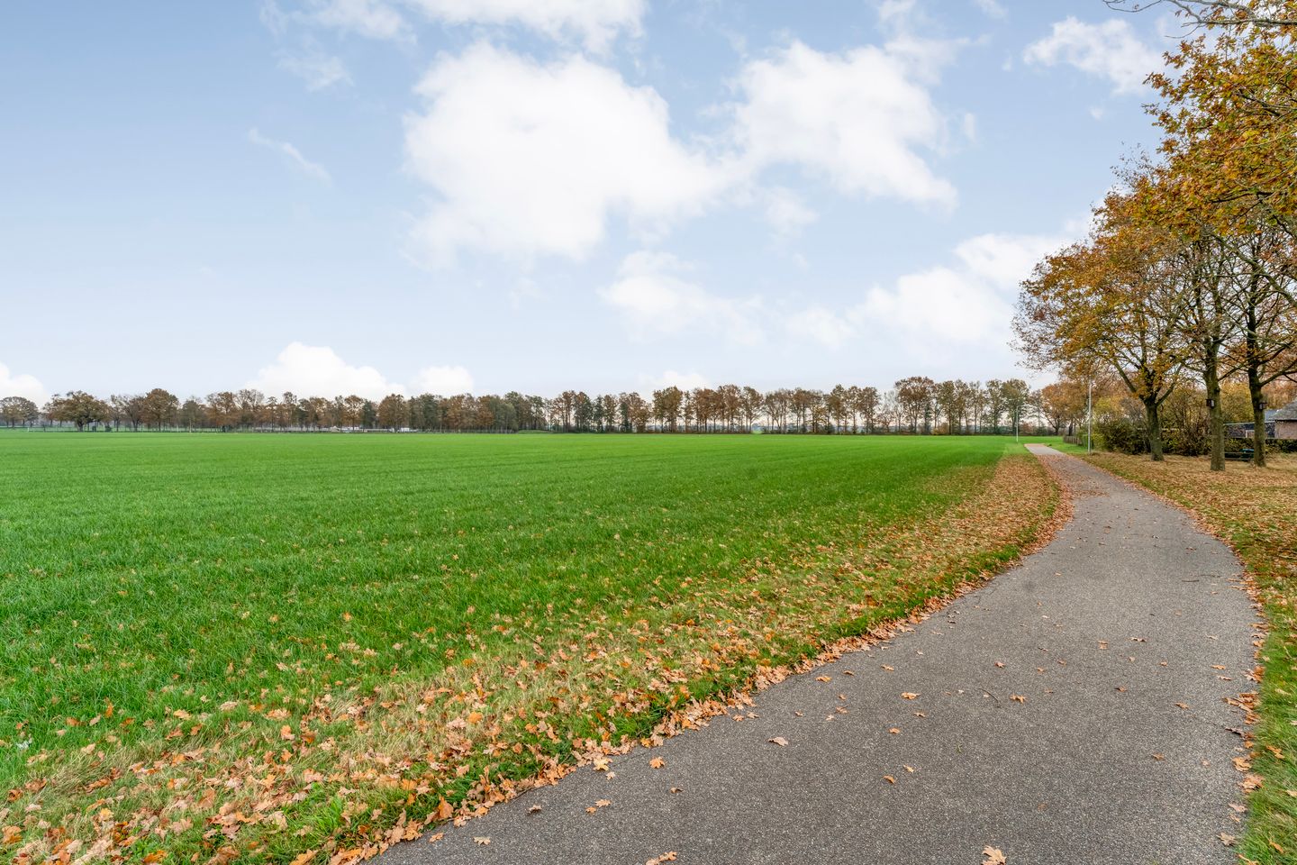 Photo 10 of Reindersdijk 33