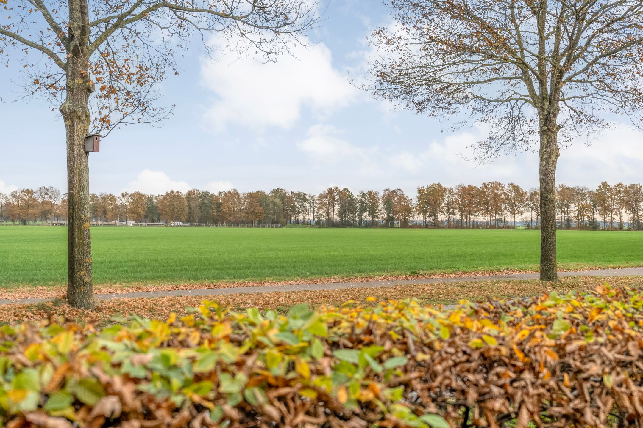 Photo 12 of Reindersdijk 33