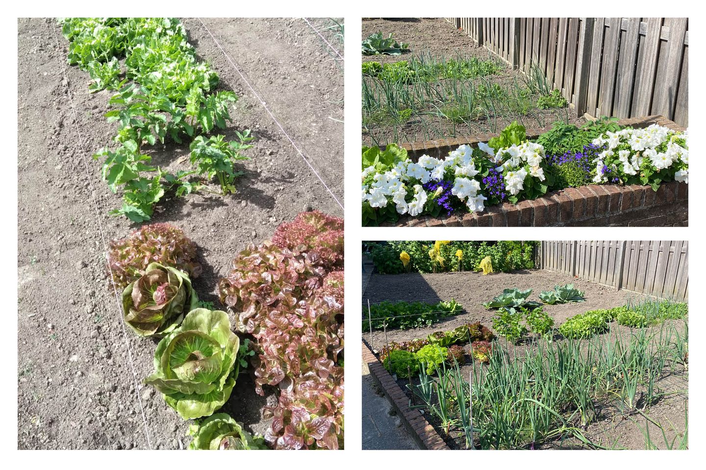 Foto 29 van Prins Hendrikstraat 51