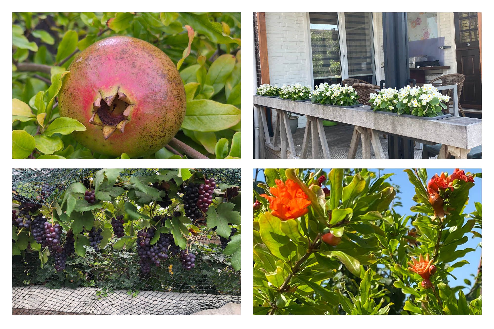 Foto 33 van Prins Hendrikstraat 51