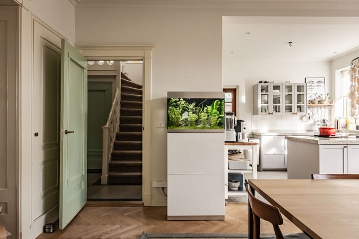 Photo 15 of Jacob van Ruisdaellaan 2