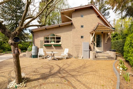 undefined main image