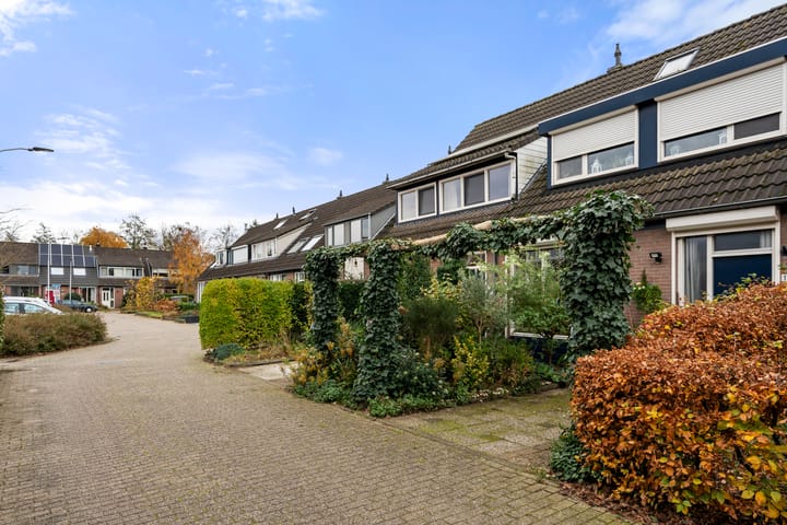 Photo 2 of Dovenetel 13