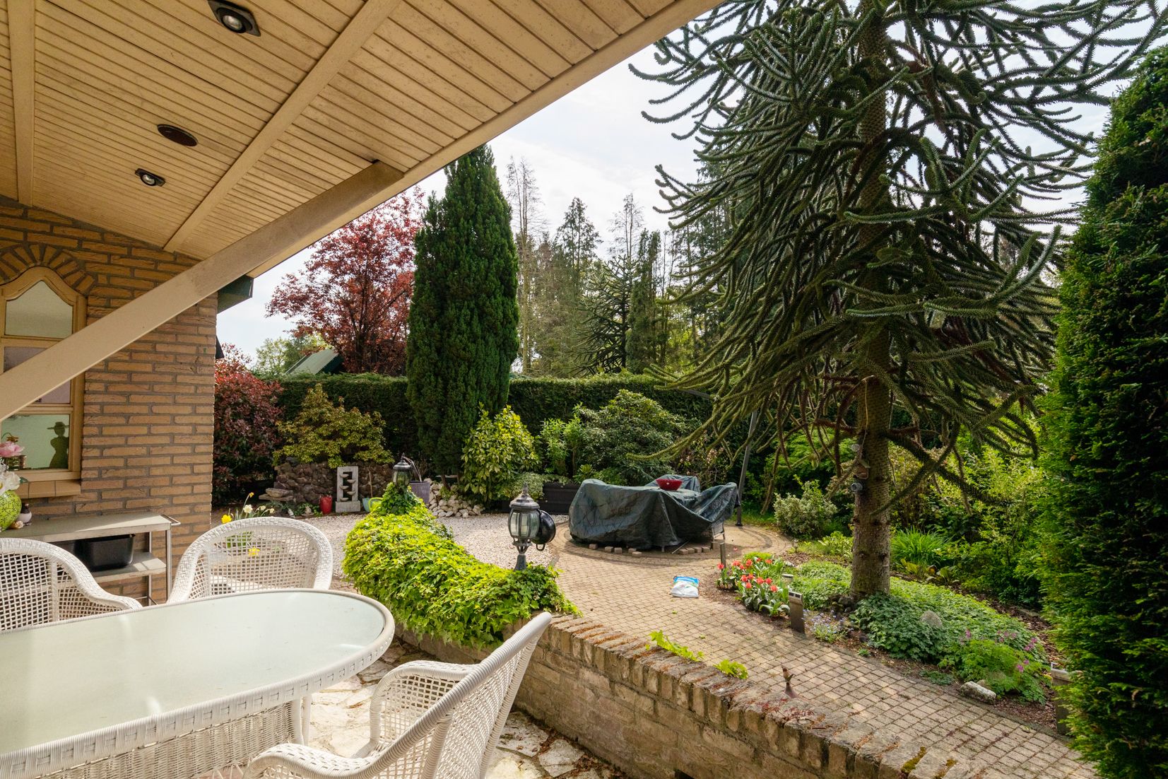 Foto 12 van Kievit 12-B351