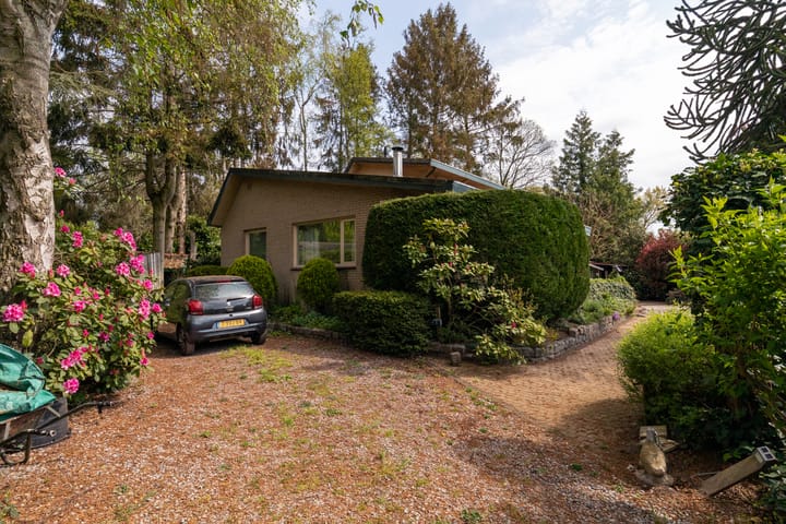 Foto 14 van Kievit 12-B351