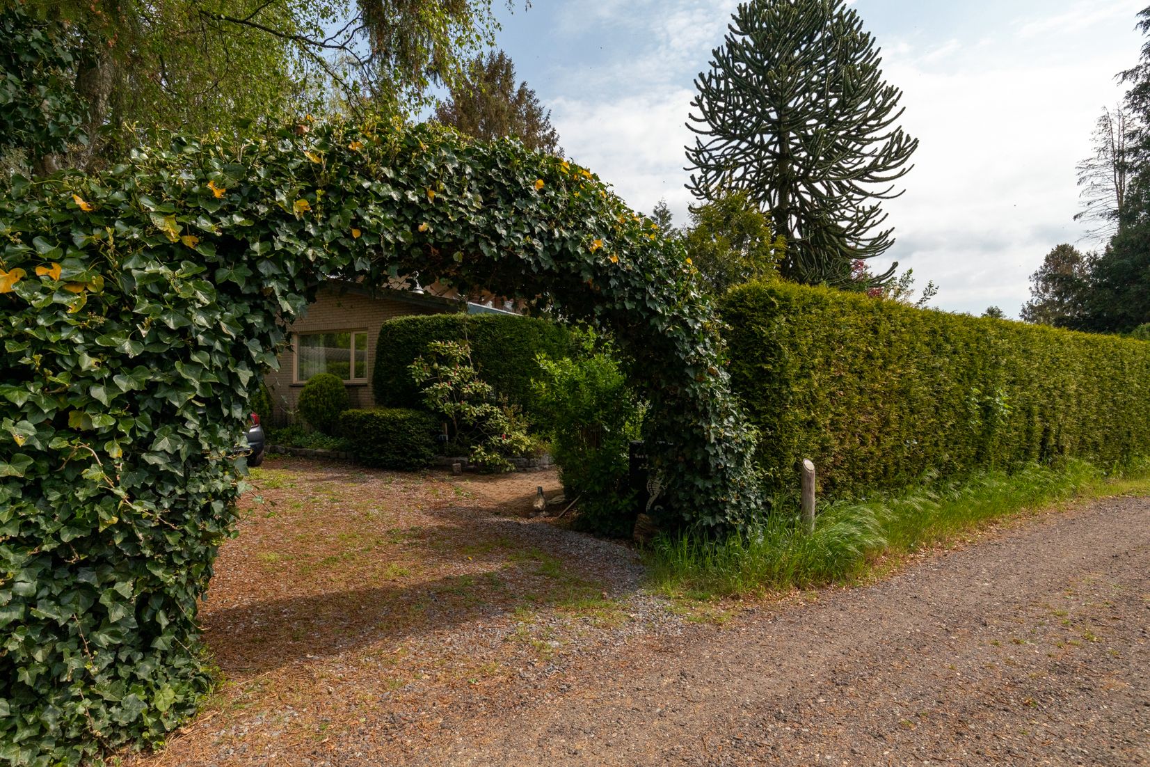 Foto 15 van Kievit 12-B351