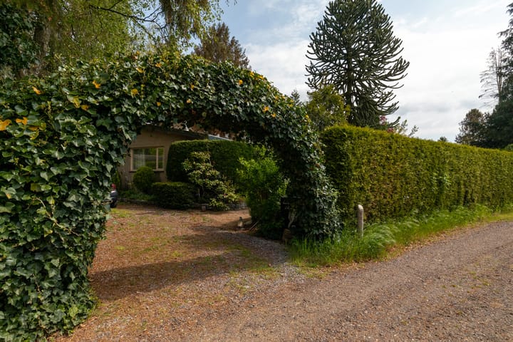 Foto 15 van Kievit 12-B351