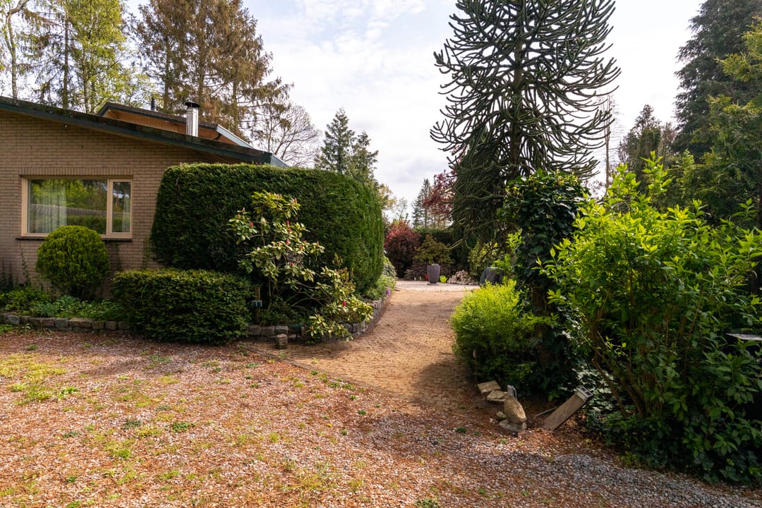 Foto 16 van Kievit 12-B351