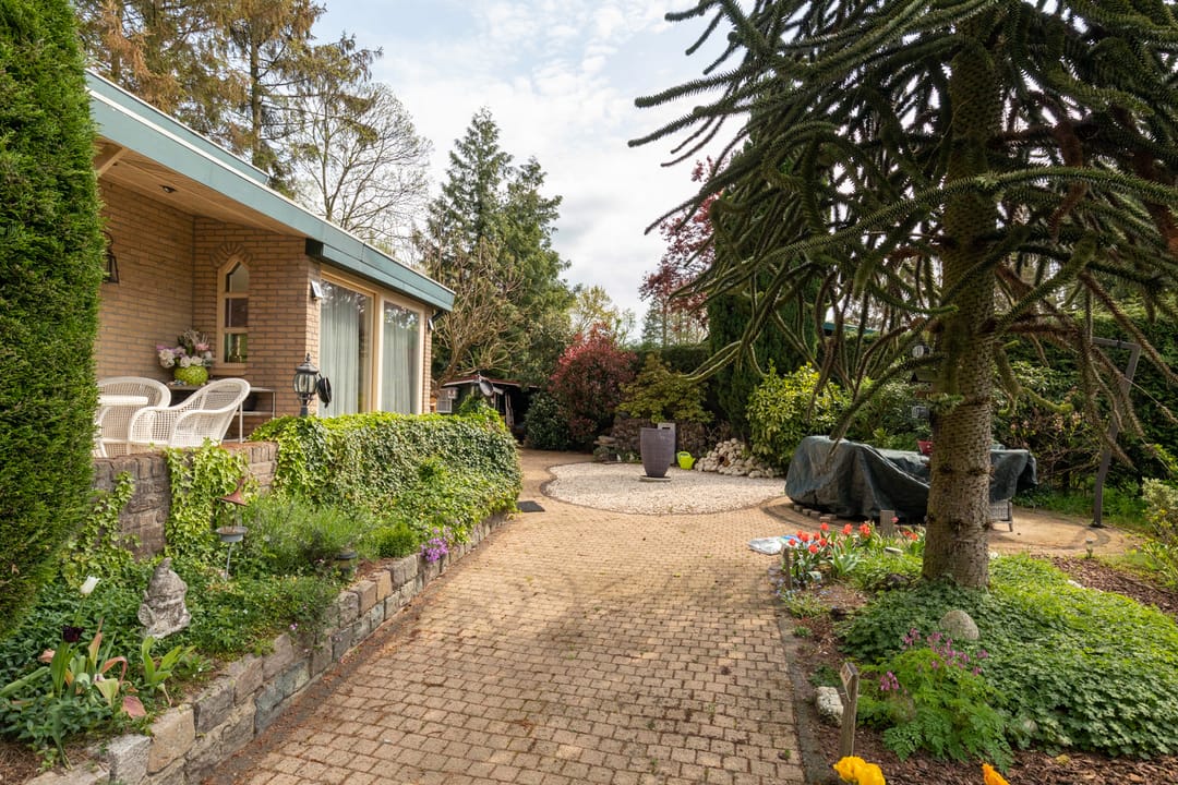 Foto 17 van Kievit 12-B351