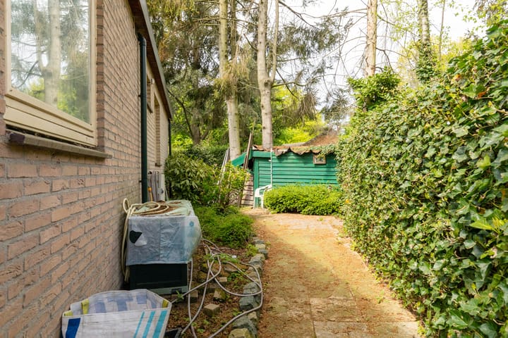 Foto 20 van Kievit 12-B351