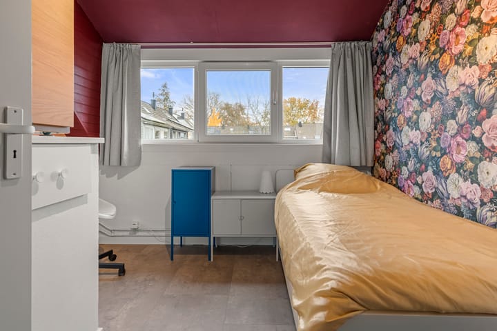 Photo 28 of Dovenetel 13