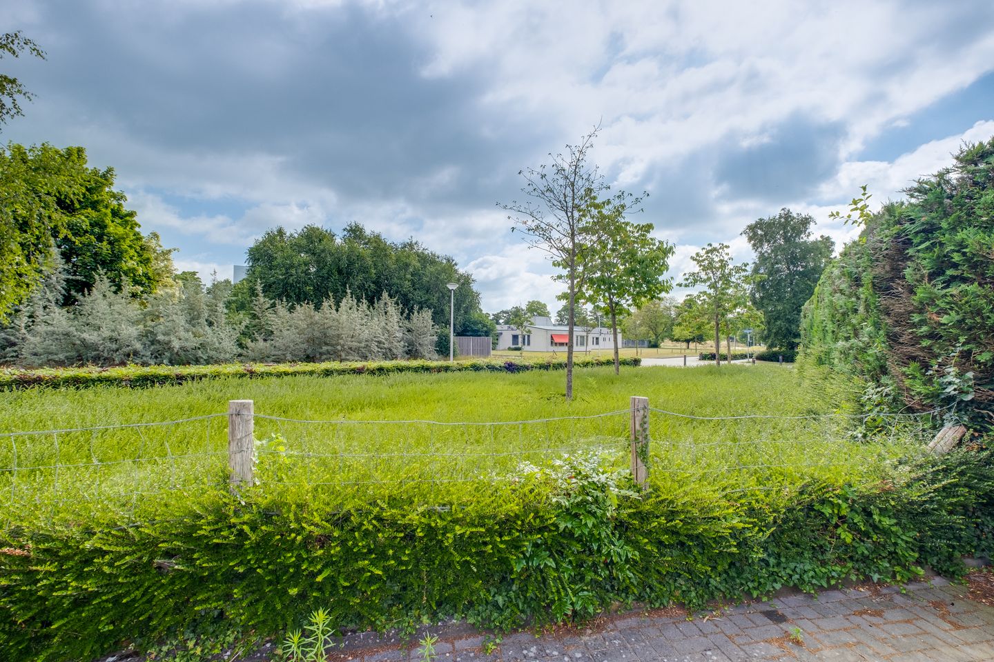 Foto 35 van Beukenlaan 117