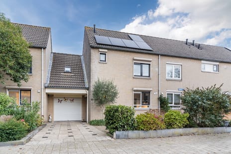 Paradijslaan thumbnail