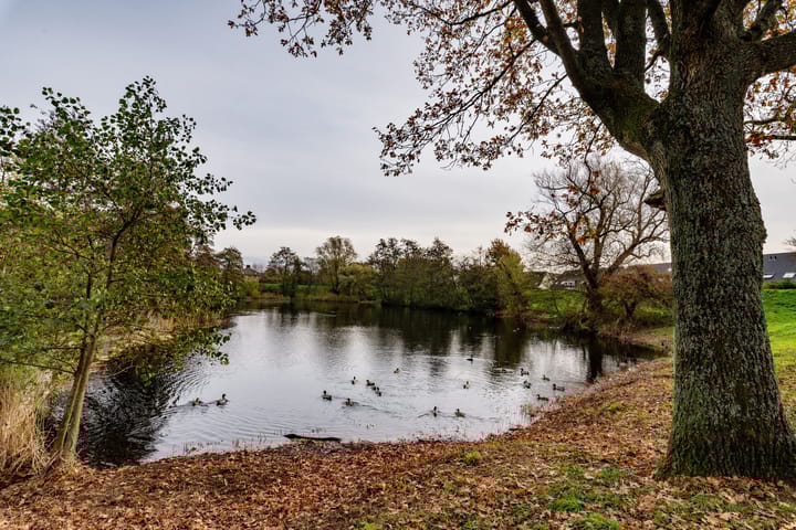 Foto 35 van Eikenlaan 16